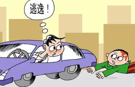肇事逃逸的处罚标准2024最新